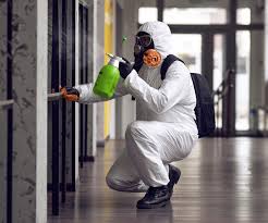 Why You Should Choose Our Mold Remediation Services in Northbrook, IL